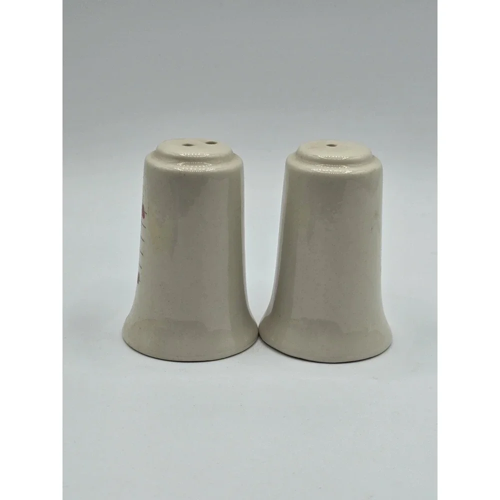 Vintage Colorado SOUVENIR Salt and‎ Pepper Shakers State Travel Retro